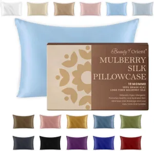 19 Momme Premium Mulberry Silk Pillowcase for Hair and Skin | Handcrafted Hypoallergenic & Anti-Acne 100% Silk Pillow Cases with Zipper | Queen - 20" x 30", Frosty Blue