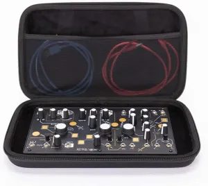 ANALOG CASES Make Noise 0-Coast/Strega/Moog Werkstatt-01 Case - Custom-Fitted Compact PULSE Hard Case for Travel