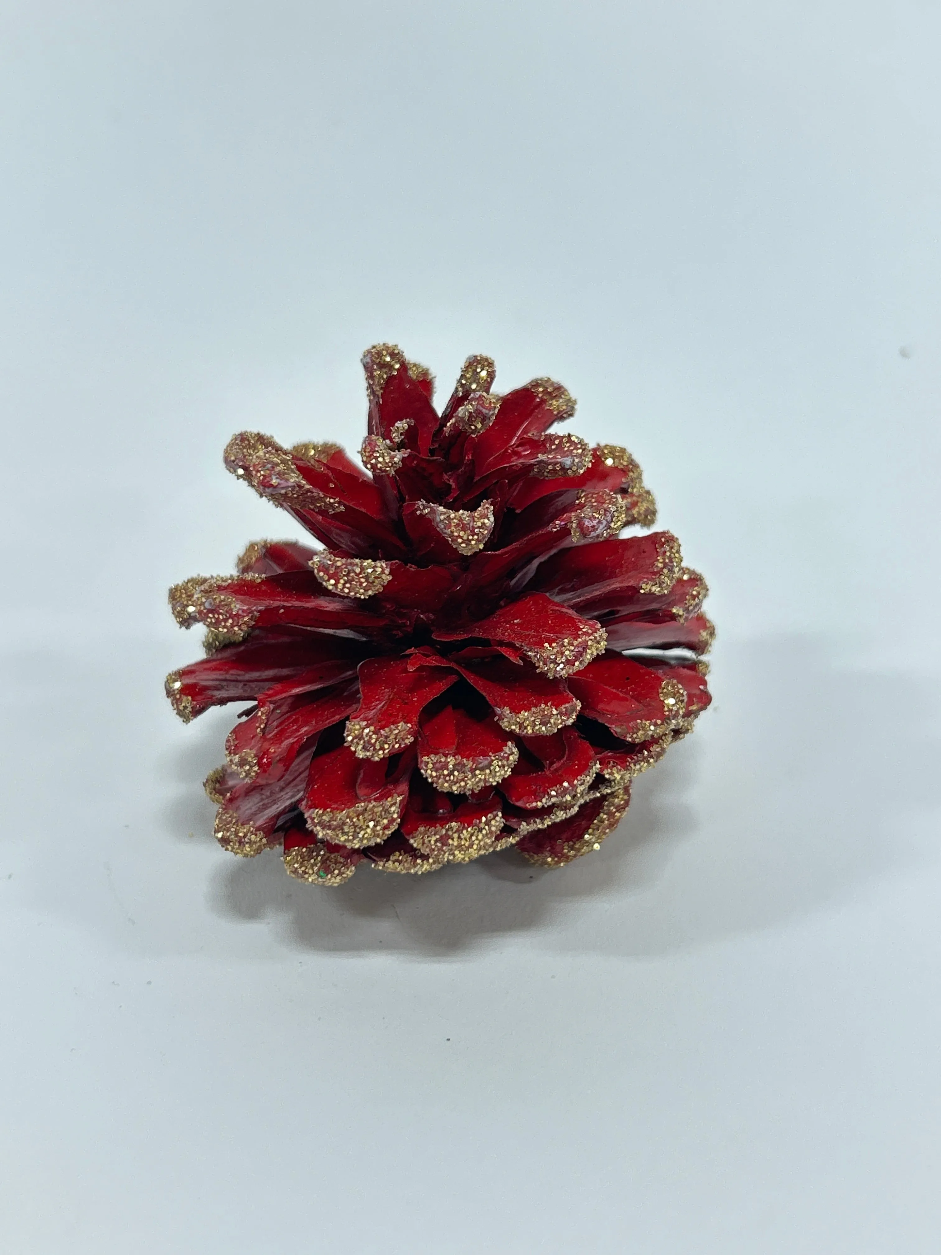 Austriaca Cones (2-3"), 5 Bags x 100 Pcs Case
