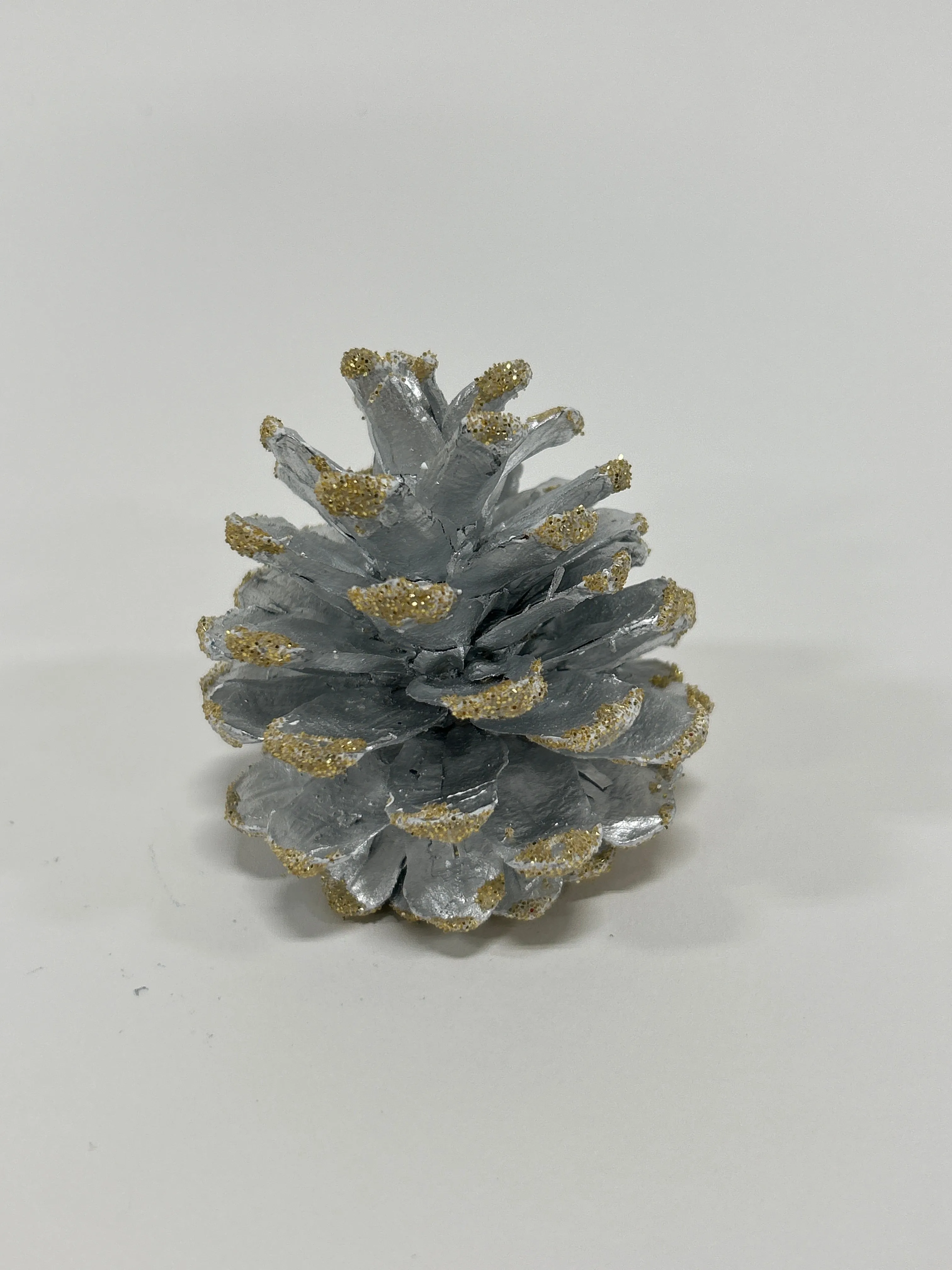 Austriaca Cones (2-3"), 5 Bags x 100 Pcs Case