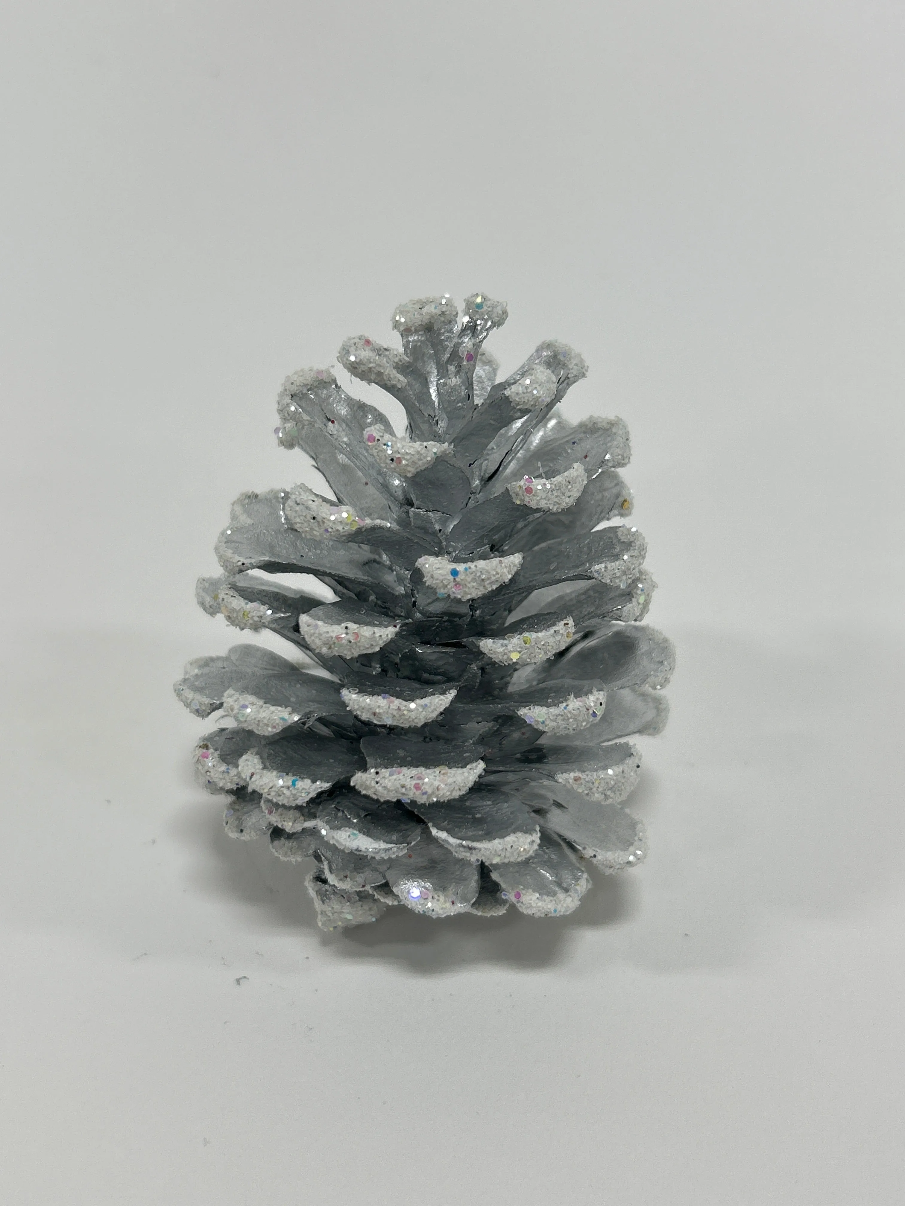 Austriaca Cones (2-3"), 5 Bags x 100 Pcs Case