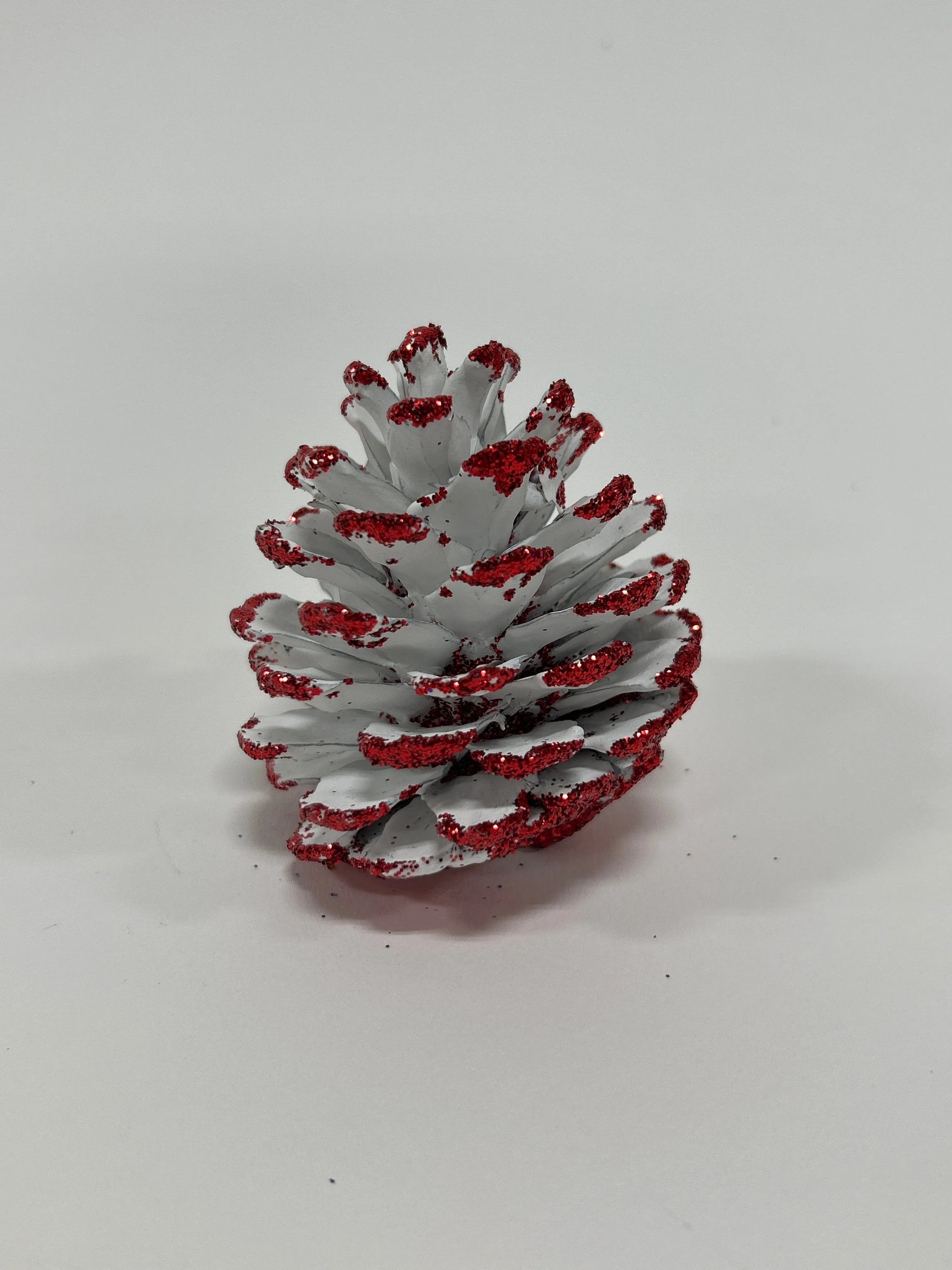 Austriaca Cones (2-3"), 5 Bags x 100 Pcs Case