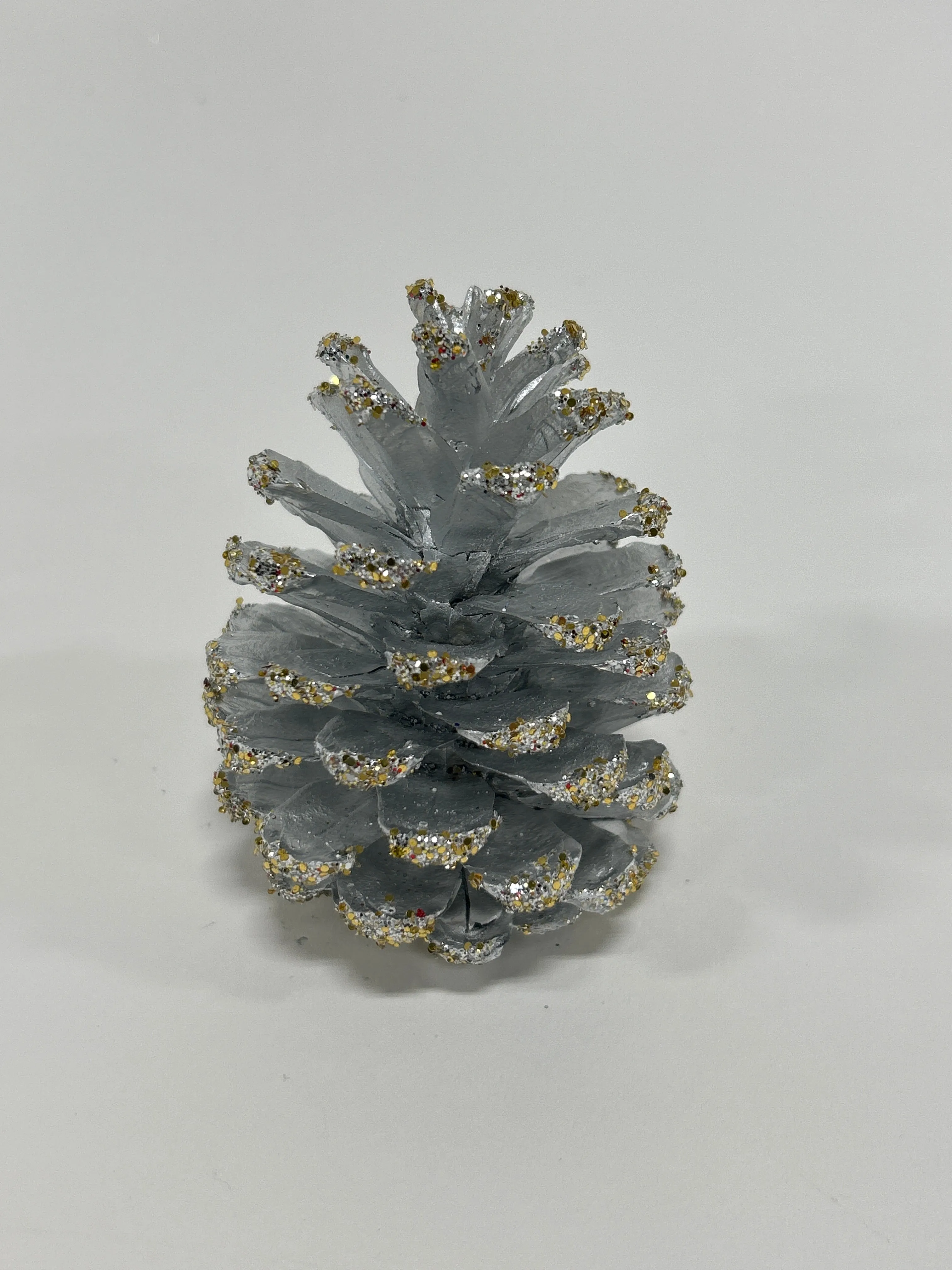 Austriaca Cones (2-3"), 5 Bags x 100 Pcs Case