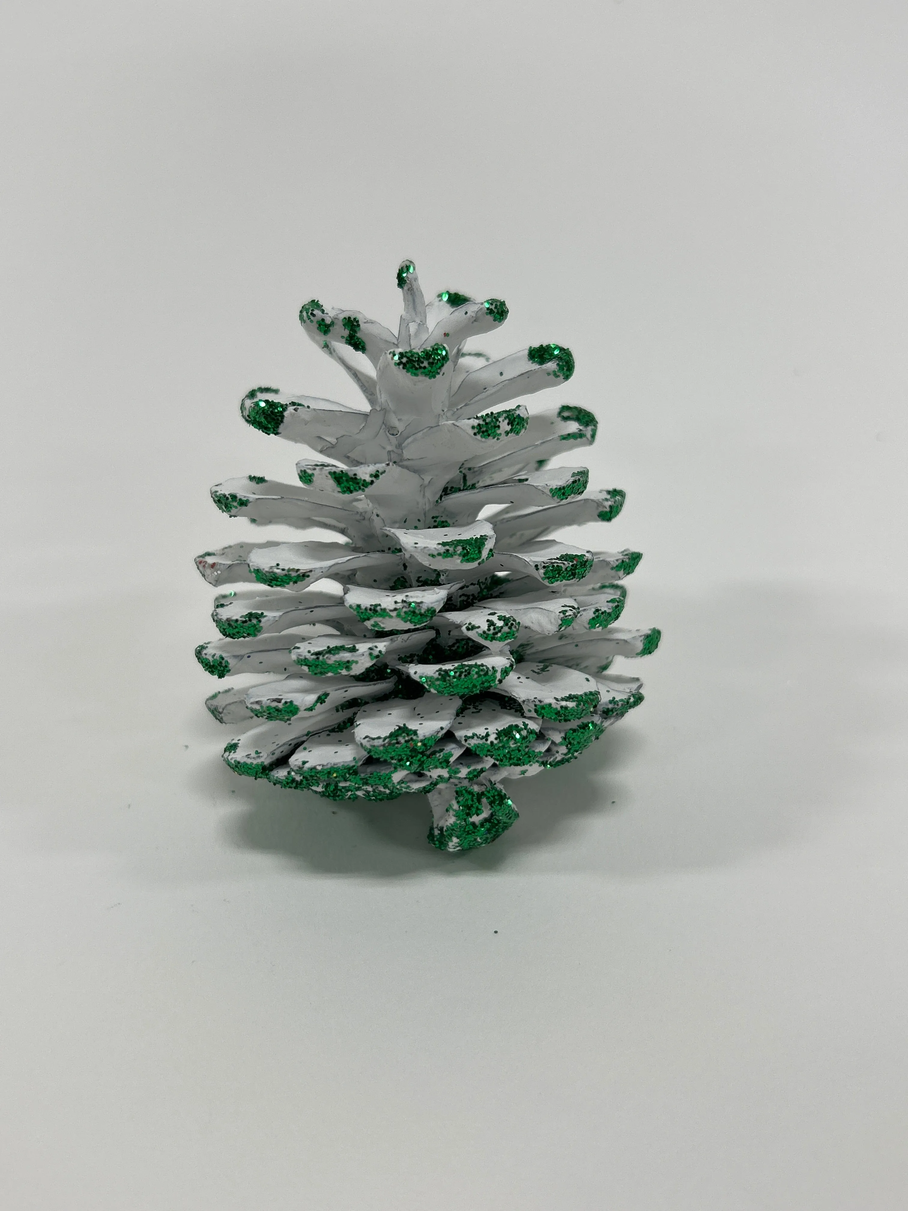 Austriaca Cones (2-3"), 5 Bags x 100 Pcs Case