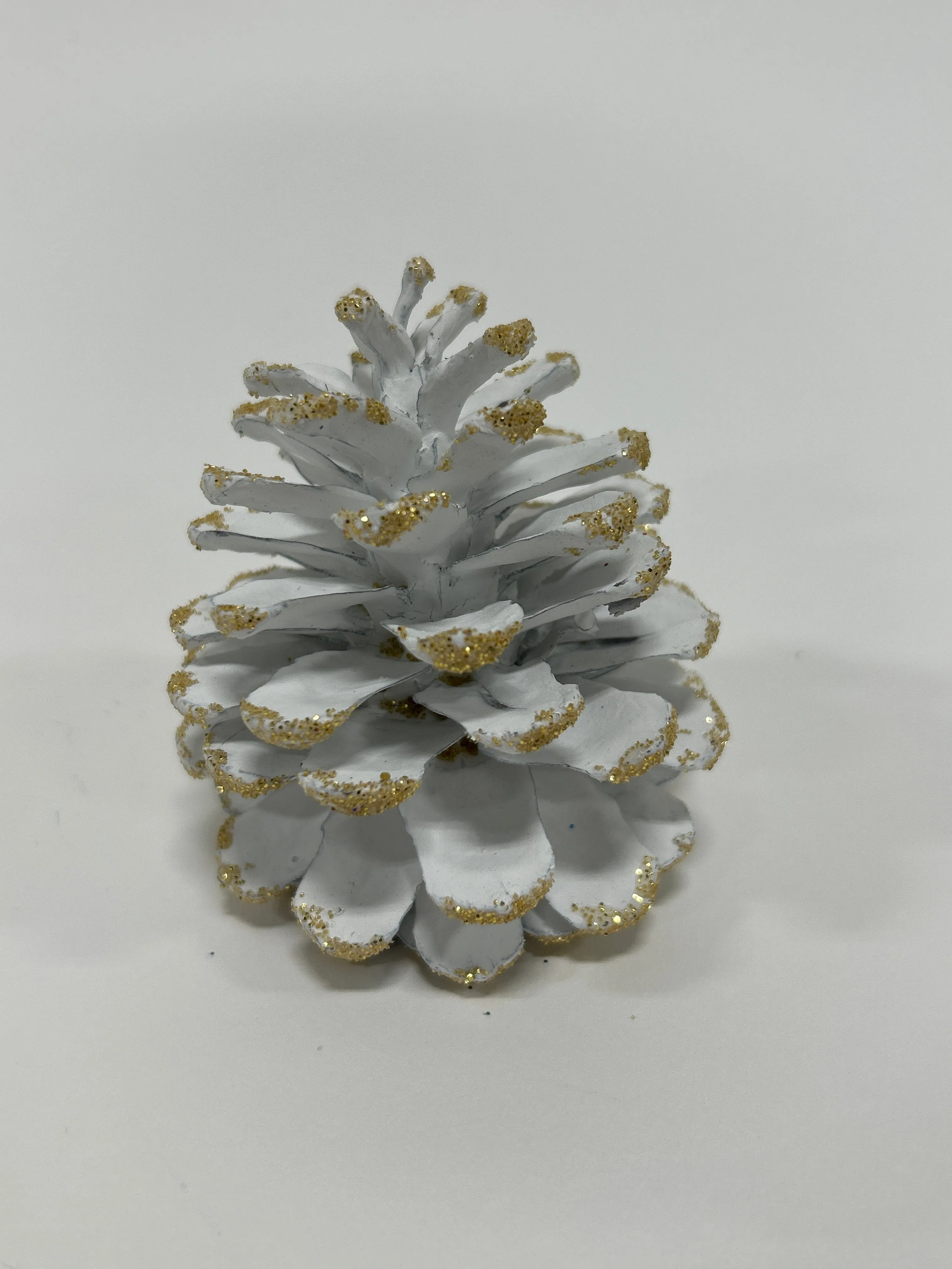 Austriaca Cones (2-3"), 5 Bags x 100 Pcs Case