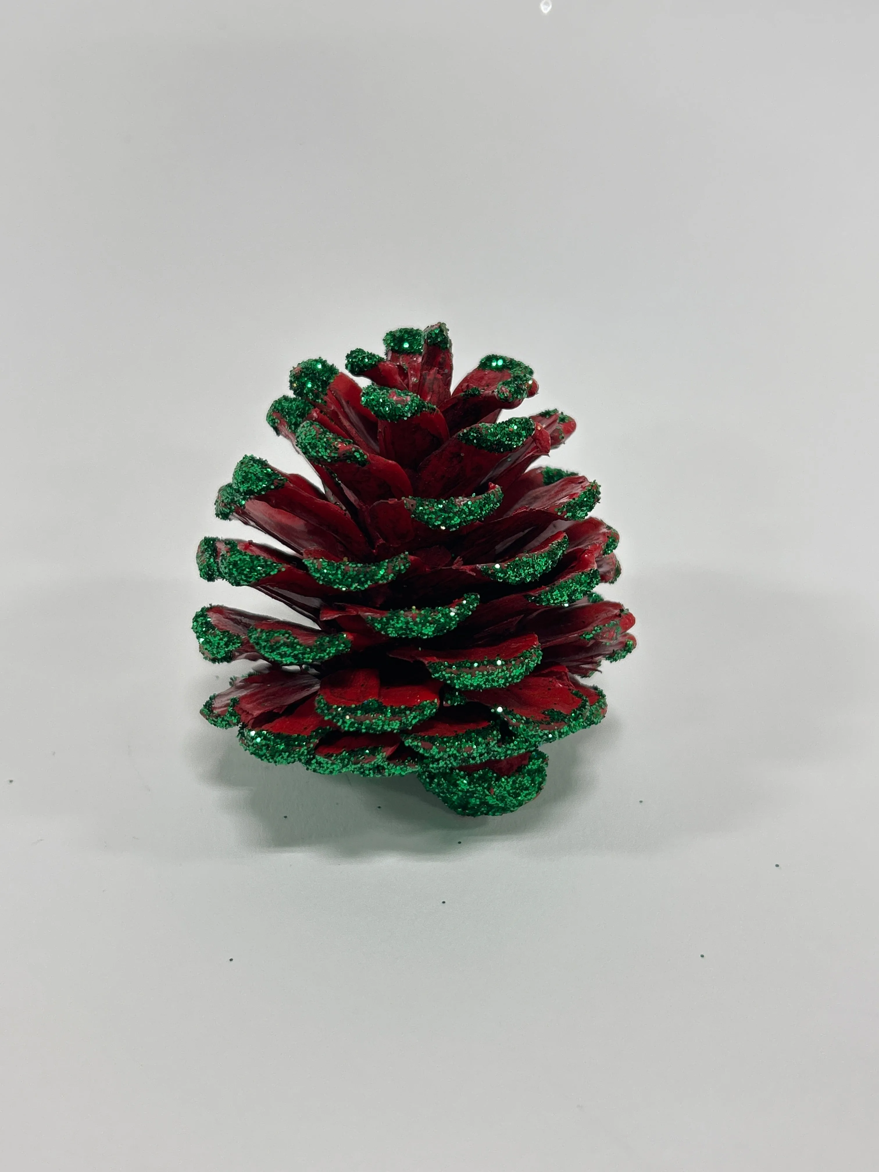Austriaca Cones (2-3"), 5 Bags x 100 Pcs Case
