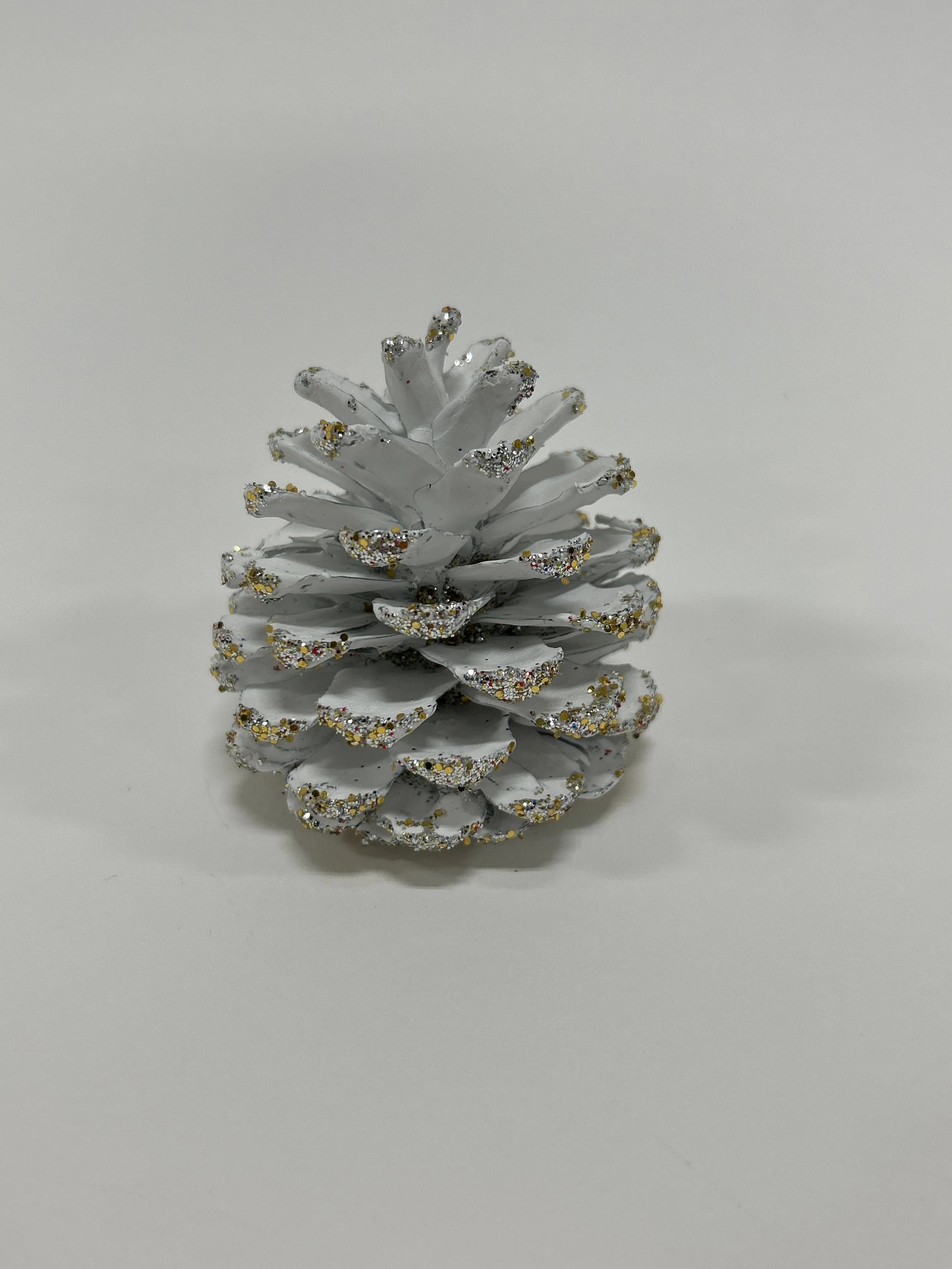 Austriaca Cones (2-3"), 5 Bags x 100 Pcs Case