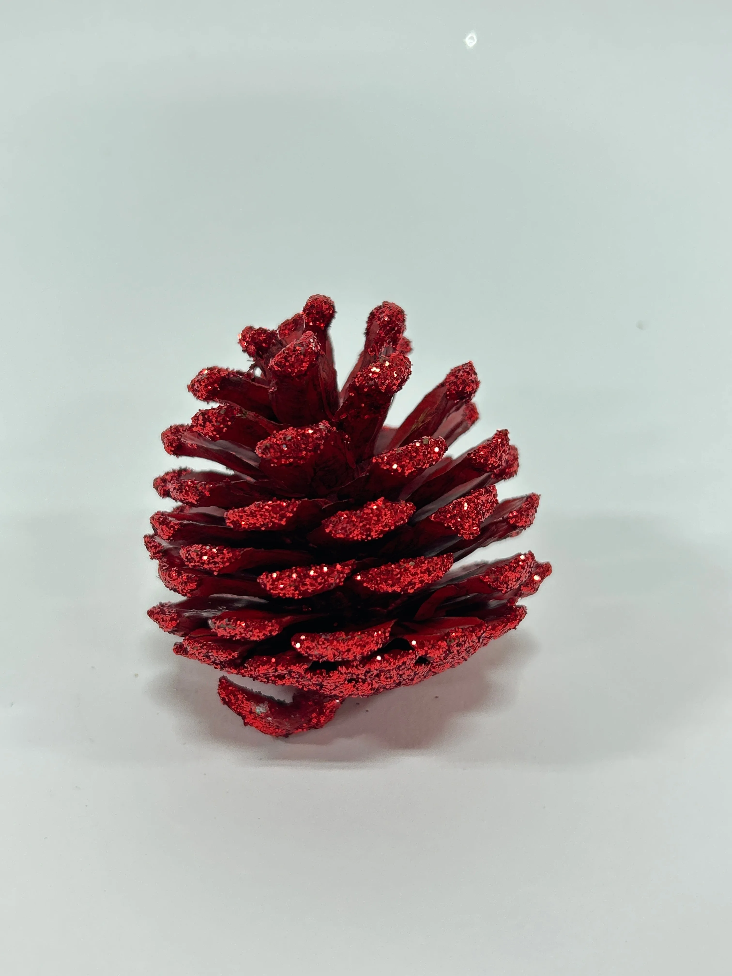 Austriaca Cones (2-3"), 5 Bags x 100 Pcs Case