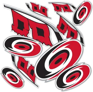 Desert Cactus Carolina Hurricanes Team NHL National Hockey League Sticker Vinyl Decal Laptop Water Bottle Car Scrapbook (Type 1-1)