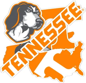 Desert Cactus University of Tennessee Sticker UT Knoxville Volunteers Vols Sticker Vinyl Decals Laptop Water Bottle Car Scrapbook 13.5x11 Sheet T2 (Type 2-3)