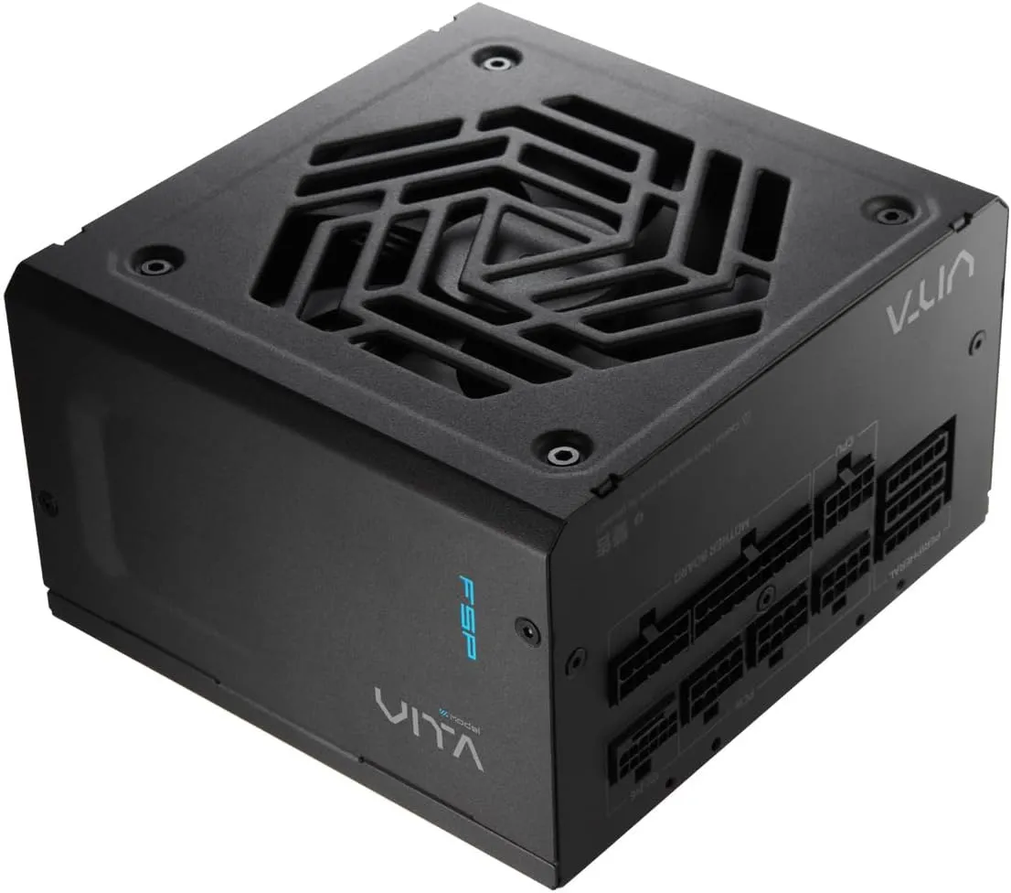 FSP VITA GM 850W Power Supply, 80 Plus Gold, ATX 3.1/PCIe 5.1, Full Modular (VITA-850GM)