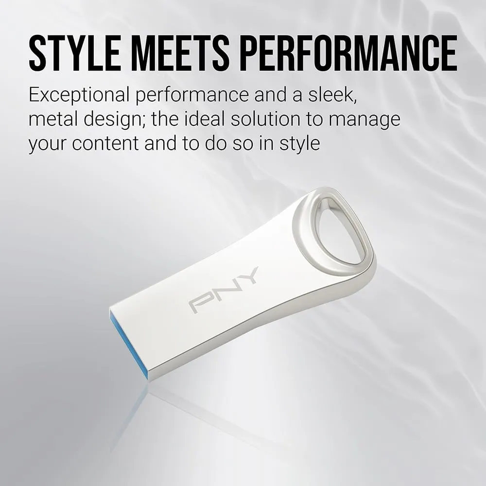PNY 128GB Elite-X USB 3.2 Flash Drive - 220MB/s, Durable Premium Metal Housing, for Storing, Sharing, and Protecting Important Content, ‎P-FDI128ELTX-GE, Silver