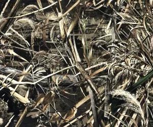 Realtree Max-5 | Canvas Tough Duck 600D Fabric | Hunting Camo Water-Resistant Outdoor Fabric | 58" Wide | 3 yd
