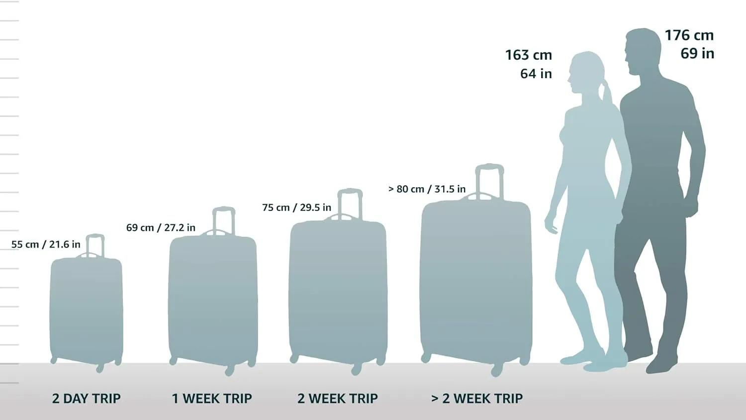 Rockland Titan Hardside Spinner Luggage, Blue, Carry-On 19-Inch