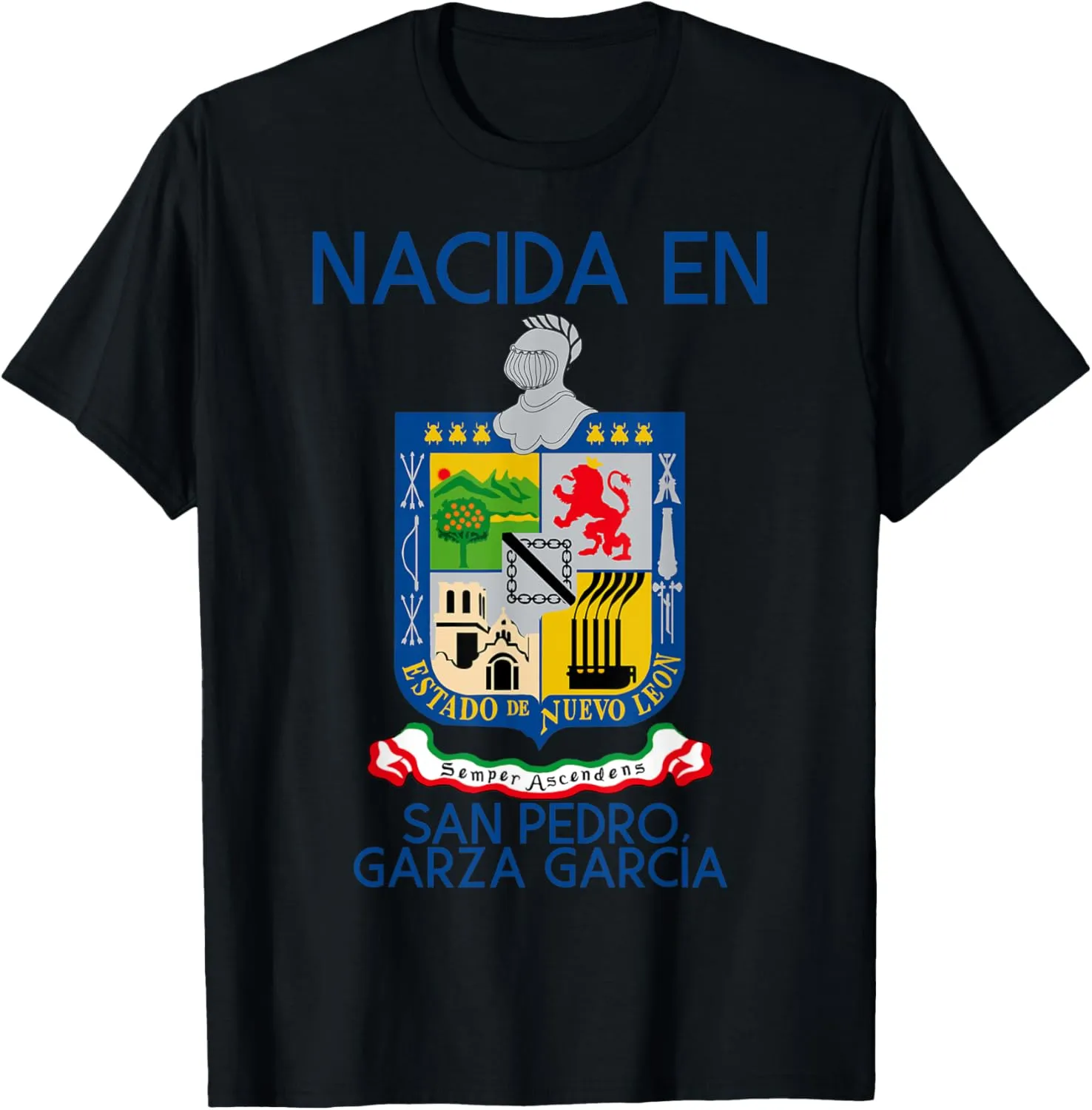 San Pedro Garza Garcia 2 Nuevo Leon Estado Mexico Escudo T-Shirt